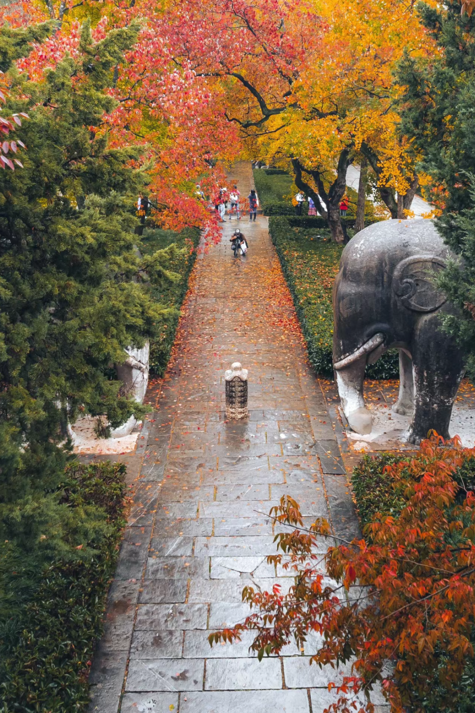 神道寻幽深秋石象路风光旖旎